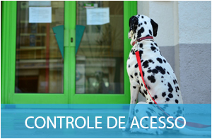 Imagem de um cachorro perto da porta