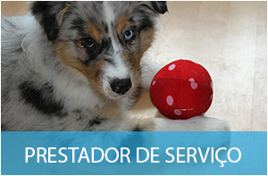 Atendimento Hospitalar